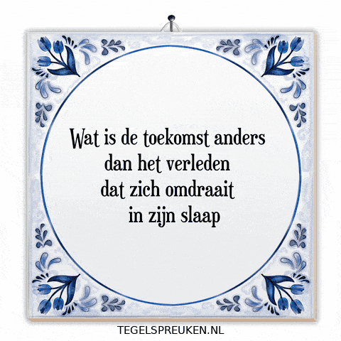 Humor Nl GIF by Tegelspreuken.nl
