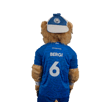 Handball Mascot Sticker by bergischerhc06