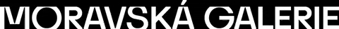 moravskagalerie giphygifmaker gallery Brno galerie GIF