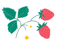 Pick Your Own Strawberry Fields Sticker by Meri Meri