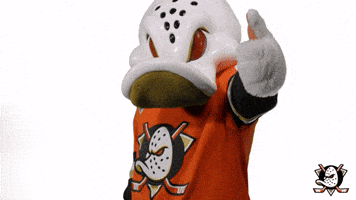 Wild Wing No GIF by Anaheim Ducks