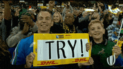 happy sport GIF by World Rugby
