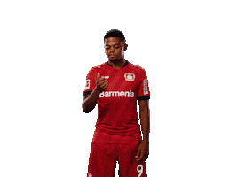 Bayer 04 Score Sticker by Bayer 04 Leverkusen