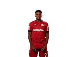 Bayer 04 Deal With It Sticker by Bayer 04 Leverkusen
