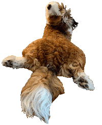 Shake It Dog Sticker
