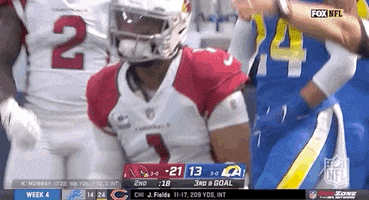 Arizona Cardinals Football GIF by NFL