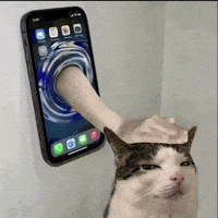 Cat Petting GIF