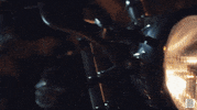 wild ones GIF by Topshelf Records