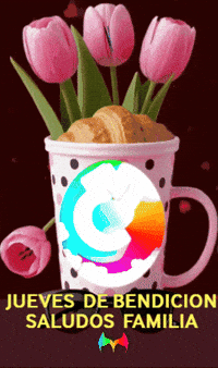Amigos Flores GIF by Murcianys LLC