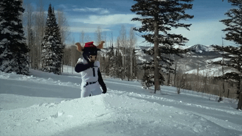 bigblue GIF by Utah State University