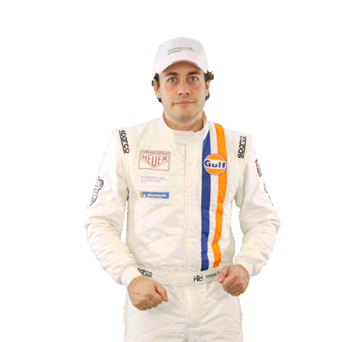 Racing Driver Sticker by Porsche GT3 Cup Brasil