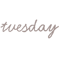 EssieBear day week tuesday weekday Sticker