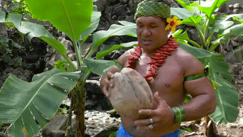 coconuts husk GIF