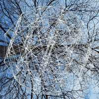 Time Tree GIF by Trevor Anderson