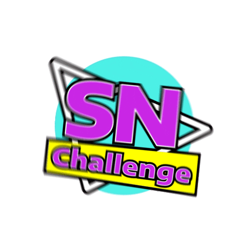 SNCHALLENGE giphyupload snchallenge Sticker