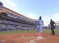 Home Run Celebration GIF by Toronto Blue Jays