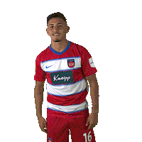 fch_1846 fch heidenheim hdh fc heidenheim Sticker