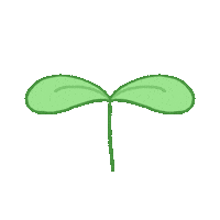 Doodle Grow Sticker