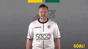 Fan Supporter GIF by Fortuna Sittard
