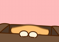 Please Please Want GIF by Bichi Mao