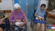 home adopting GIF