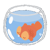 Sleepy Goldfish Sticker