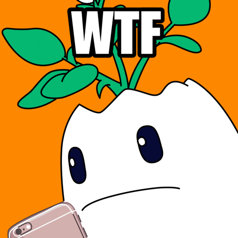 Excuse Me Wtf GIF by Magic Eden