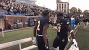 High Five Football GIF by Chattanooga Mocs