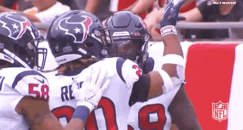 2019 Nfl Football GIF by NFL