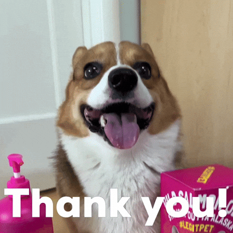 Dog Thank You GIF