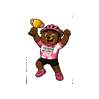 No Limits Winner Sticker by ReinosaNoLimits