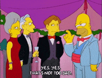 homer simpson GIF