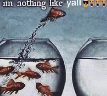 Im Nothing Like Yall GIF