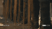 Hbo GIF by Game of Thrones
