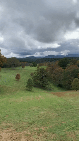 Raytay17 giphyupload GIF