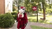 Take A Bow GIF by Roanoke College