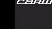 Carlink  GIF