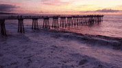 Beach Ocean GIF by Yevbel