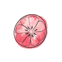 LeighElizabethStudio orange fruit lemon watermelon Sticker