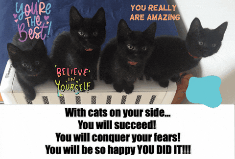 Youre The Best We Love You GIF