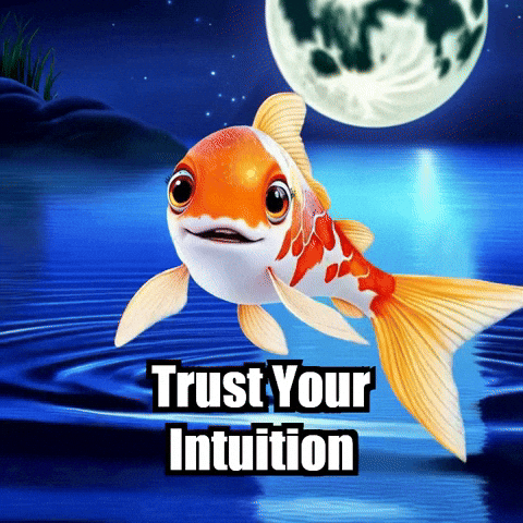Wisdom Intuition GIF by TheConfishius