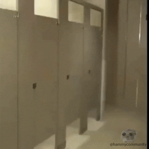 Toilet Paper Scream GIF by Sad Hamster