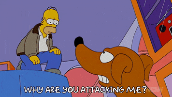 Episode 9 GIF by The Simpsons