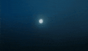 Drag Queen GIF by Database數據