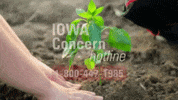 iowastateextension  GIF