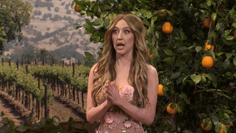 Snl GIF by Saturday Night Live