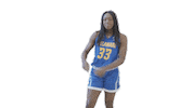Basketball Ncaa Sticker by Delaware Blue Hens