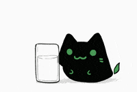 Cat Water GIF
