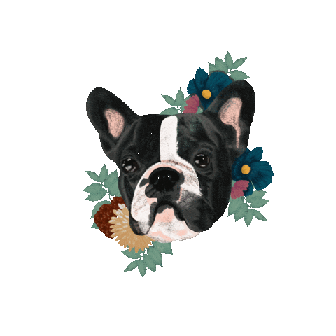 nicolemarega giphyupload dog nature flower Sticker