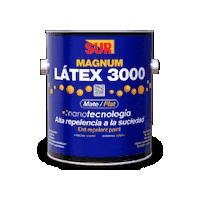 Pintura Hogar Sticker by Grupo Sur Nicaragua